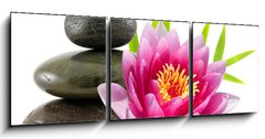 Obraz 3D tdln - 150 x 50 cm F_BM15079554 - Composition zen, pierres, lotus et bambou