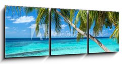 Obraz   coco palms on tropical paradise beach with turquoise blue water and blue sky, 150 x 50 cm