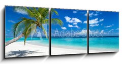 Obraz 3D tdln - 150 x 50 cm F_BM151547263 - coco palm panorama wide format on tropical paradise dream beach