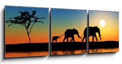 Obraz 3D tdln - 150 x 50 cm F_BM15223089 - Family of elephants.