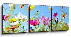 Obraz 3D třídílný - 150 x 50 cm F_BM157514845 - Blumenwiese