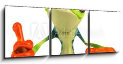 Obraz 3D tdln - 150 x 50 cm F_BM15819778 - Grenouille avec un panneau