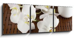 Obraz 3D třídílný - 150 x 50 cm F_BM15837732 - Face cream and white orchid on a bamboo mate - Krém na obličej a bílá orchidej na bambusové kamarádce