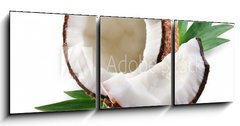 Obraz 3D tdln - 150 x 50 cm F_BM15844429 - coconut on a white background