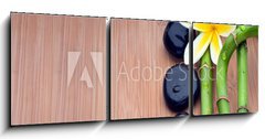 Obraz   Spa still life background, 150 x 50 cm