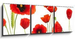 Obraz   red poppies over white background  floral design element, 150 x 50 cm