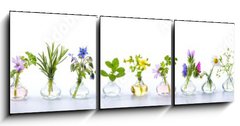 Obraz 3D tdln - 150 x 50 cm F_BM166862791 - Herbs for alternative medicine, natural cosmetics and kitchen