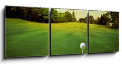 Obraz 3D třídílný - 150 x 50 cm F_BM16695103 - golf