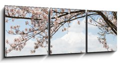 Obraz 3D třídílný - 150 x 50 cm F_BM167625752 - Fuji mountain in japan as background with sakura blossom as foreground