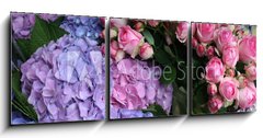 Obraz 3D tdln - 150 x 50 cm F_BM16803758 - Blumen