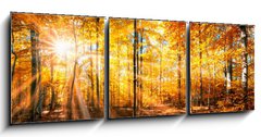 Obraz 3D třídílný - 150 x 50 cm F_BM168212681 - Wald Panorama im goldenen Herbst