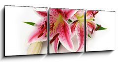 Obraz 3D tdln - 150 x 50 cm F_BM16841573 - Lily