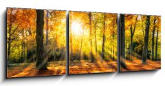 Obraz 3D třídílný - 150 x 50 cm F_BM169049384 - Buntes Herbstwald Panorama im Sonnenlicht - Panorama Buntes Herbstwald im Sonnenlicht