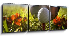 Obraz 3D třídílný - 150 x 50 cm F_BM16911245 - Golf club and ball in grass - Golfový klub a míč v trávě