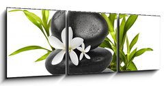 Obraz   Spa still life on white background, 150 x 50 cm