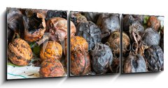 Obraz 3D tdln - 150 x 50 cm F_BM171137304 - walnuts immediately after harvesting before cleaning