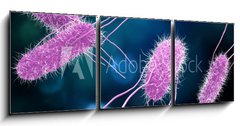 Obraz   3D illustration of Salmonella Bacteria. Medicine concept., 150 x 50 cm