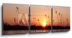 Obraz 3D tdln - 150 x 50 cm F_BM18109096 - Abendhimmel im Schilf