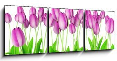 Obraz 3D tdln - 150 x 50 cm F_BM18362257 - tulips - tulipny