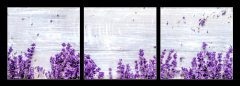 Obraz 3D třídílný - 150 x 50 cm F_BM188691240 - Bunch of dry lavender flowers on rustic background top view mock