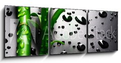 Obraz 3D tdln - 150 x 50 cm F_BM18901252 - Bamboo