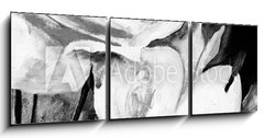 Obraz 3D třídílný - 150 x 50 cm F_BM197308949 - lbild: Weie Rosen - Obrázek: Weie Rosen
