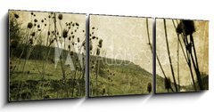 Obraz   Vintage nature, 150 x 50 cm