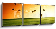 Obraz 3D tdln - 150 x 50 cm F_BM20504008 - field of grass and flying birds