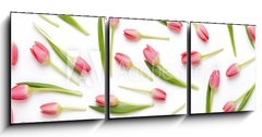 Obraz   Pink tulip pattern on the white bacjkground., 150 x 50 cm