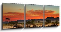 Obraz 3D tdln - 150 x 50 cm F_BM20708665 - Herd of elephants in african savanna - Stdo slon v africk savan