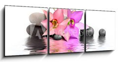 Obraz 3D třídílný - 150 x 50 cm F_BM20947031 - Orchidee et Beaute - Orchidee a Beaute