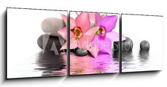 Obraz 3D tdln - 150 x 50 cm F_BM20947031 - Orchidee et Beaute