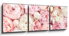 Obraz 3D tdln - 150 x 50 cm F_BM215246503 - Summer blossoming delicate rose on blooming flowers festive background, pastel and soft bouquet floral card