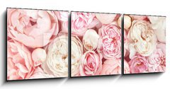 Obraz   Summer blossoming delicate rose on blooming flowers festive background, pastel and soft bouquet floral card, 150 x 50 cm