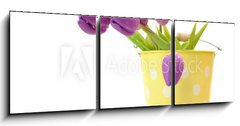 Obraz   Wet Purple Tulips, 150 x 50 cm