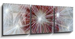 Obraz 3D tdln - 150 x 50 cm F_BM218023656 - Dandelion