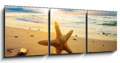 Obraz 3D tdln - 150 x 50 cm F_BM21858060 - Starfish on the beach - Hvzdice na pli
