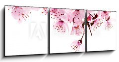Obraz 3D tdln - 150 x 50 cm F_BM21943276 - Bl te im Fr hling