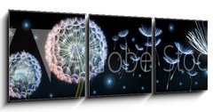 Obraz 3D tdln - 150 x 50 cm F_BM220799750 - Pusteblumen und Glhwrmchen