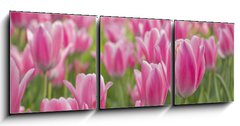 Obraz 3D tdln - 150 x 50 cm F_BM22107035 -        