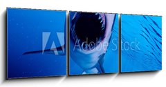 Obraz 3D tdln - 150 x 50 cm F_BM222972216 - 3d rendered illustration of a great white shark