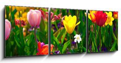 Obraz 3D tdln - 150 x 50 cm F_BM22368524 - Sea of flowers