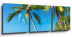 Obraz 3D tdln - 150 x 50 cm F_BM22403975 - Tropical beach, Thailand - Tropick ple, Thajsko