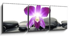 Obraz 3D tdln - 150 x 50 cm F_BM22713595 - Purple orchid and black stones