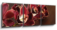 Obraz   Lay down tiger s violet orchids on board, 150 x 50 cm