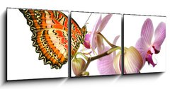 Obraz   Schmetterling 37, 150 x 50 cm