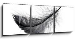 Obraz 3D tdln - 150 x 50 cm F_BM234006556 - Single black floating feather on white background.