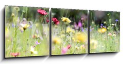 Obraz 3D tdln - 150 x 50 cm F_BM236066014 - wildblumenwiese natur banner pastell