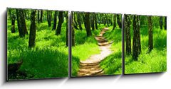 Obraz 3D tdln - 150 x 50 cm F_BM23843202 - green forest