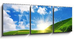 Obraz 3D tdln - 150 x 50 cm F_BM23924390 - Beautiful pattern of bright, green tea garden on the hill